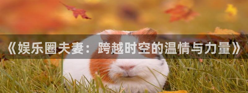 摩登7平台